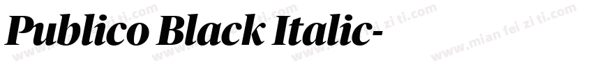 Publico Black Italic字体转换